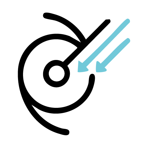 IOLicon